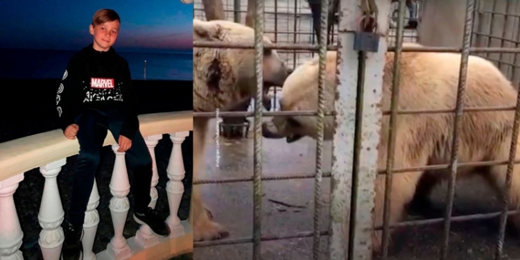 Schoolboy, 11, is mauled to death by bears after being dragged inside cage at holiday resort