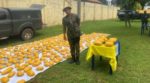 Fake Army Major arrested for drug peddling in Delta State