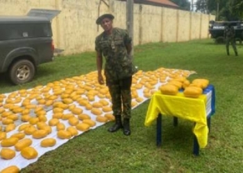 Fake Army Major arrested for drug peddling in Delta State