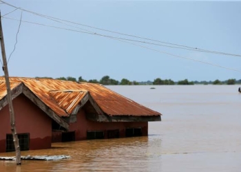 Flood destroys 110 houses in Zamfara