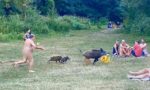Photos: Naked German man chases wild boar that stole his laptop