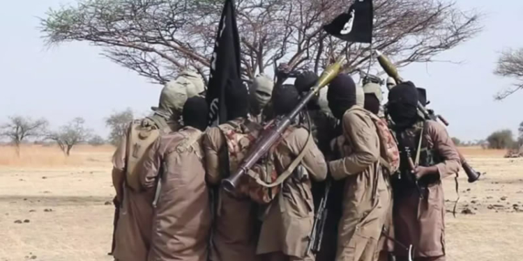How smuggling, politics fuel Boko Haram in Borno