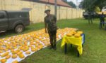 Police arrest fake soldier with Indian hemp in Delta