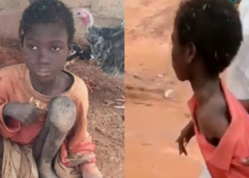 Nigerians are angry over Jibril Aliyu’s animal treatment, call for justice