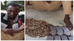 Police arrest transporter with 375 rounds of ammunition in Niger state