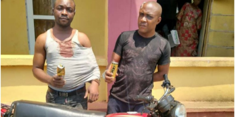 Police nabs three motorcycle thieves in Ogun state