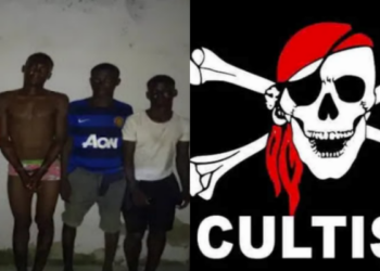 11 suspected cultists arrested during initiation in Cross Rivers