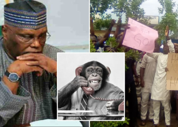 Atiku’s workers protest alleged maltreatment at beverage company in Yola, say Indian Mgt. calls them monkey