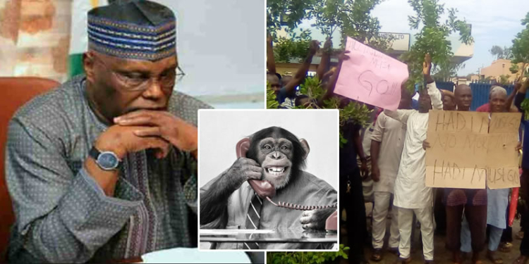 Atiku’s workers protest alleged maltreatment at beverage company in Yola, say Indian Mgt. calls them monkey