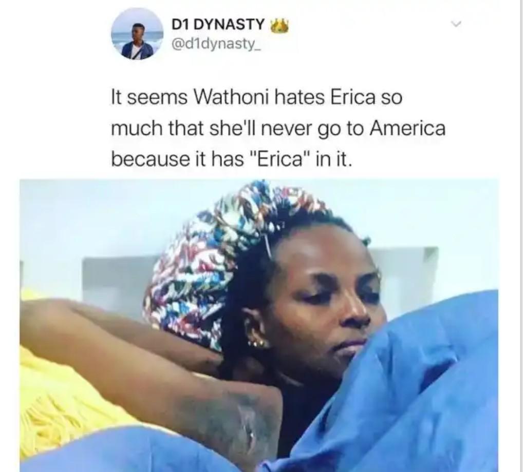 #BBNaija: Fans drag Wathoni over her dark armpit (Video)