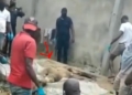 Video: Man arrested for killing anyone he invites to his house and throwing their bodies inside soak away