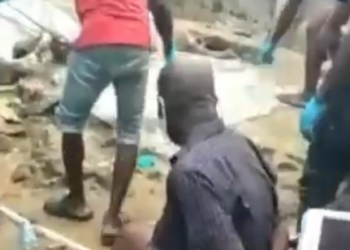 Video: Man arrested for killing anyone he invites to his house and throwing their bodies inside soak away