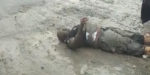 VIDEO: Moment soldiers allegedly beat police inspector, abandon him for death on the road in Port Harcourt