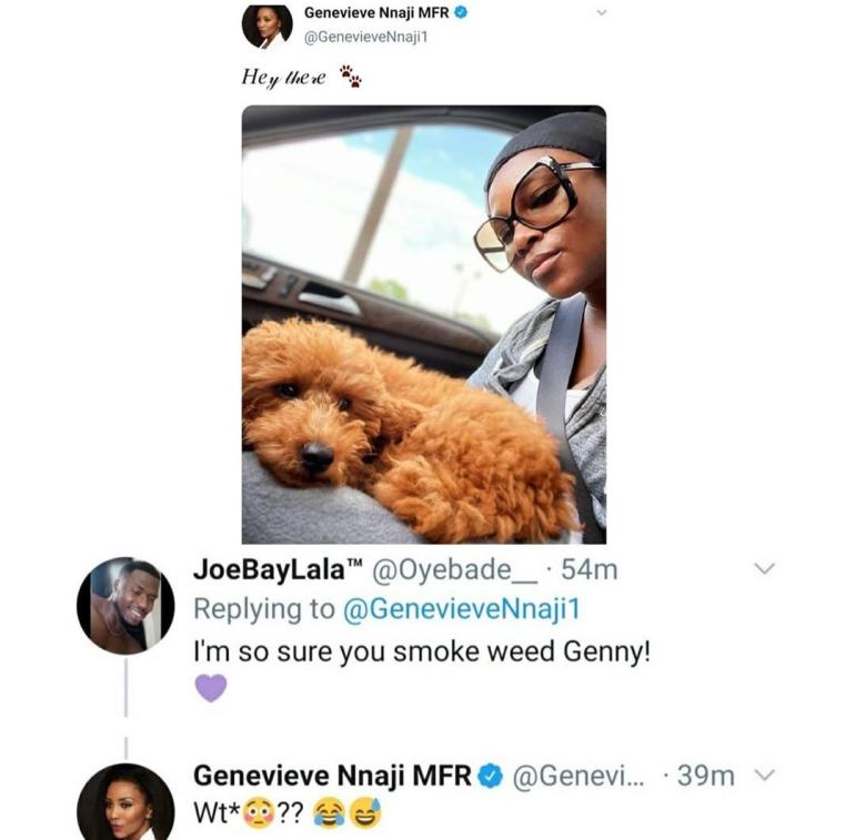 Genevieve Nnaji replies fan who called her a weed smoker