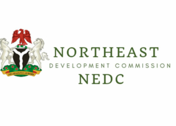 Alkali, NEDC and the footprints of a patriotic servant