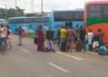 Court orders luxury buses to stop operation in Kano over park crisis