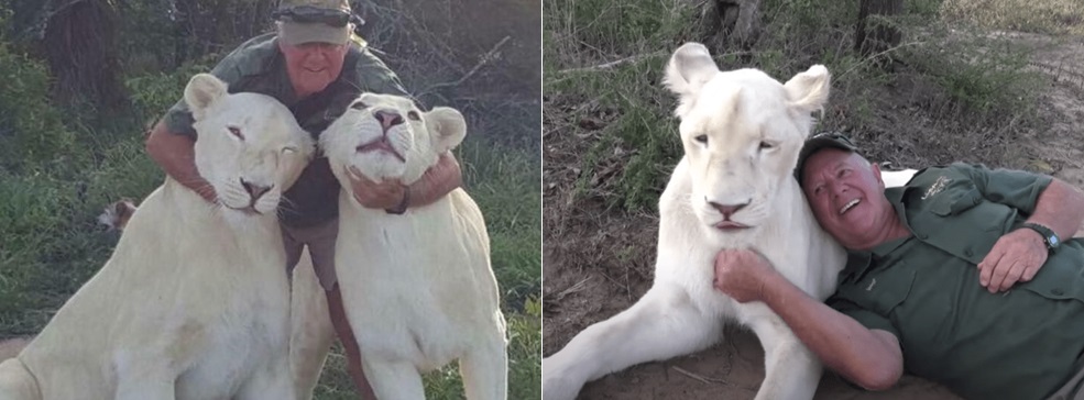 Lions kill owner in South Africa