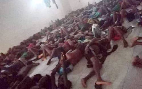Exposed: Nigerians, other African Detention