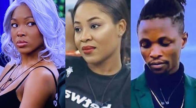 BBNaija 2020: Be nice to Erica – Laycon begs Vee
