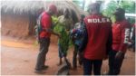Kill me rather than destroy my cannabis farm – Suspect begs NDLEA in Kogi