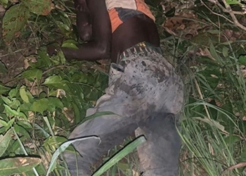 Troops of operation accord neutralise four armed bandits, recover arms in Kaduna