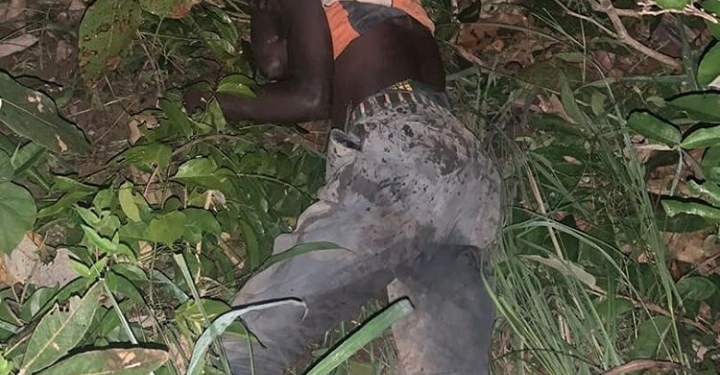 Troops of operation accord neutralise four armed bandits, recover arms in Kaduna