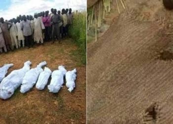 Family of six perish as building collapses in Kebbi