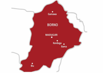 Parts of Borno State more peaceful than Rome - Human rights activist, Ikpa 