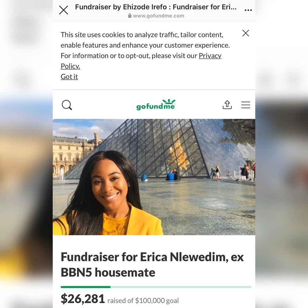 Fans contribute N10 million for BBNaija season 5 disqualified housemate, Erica