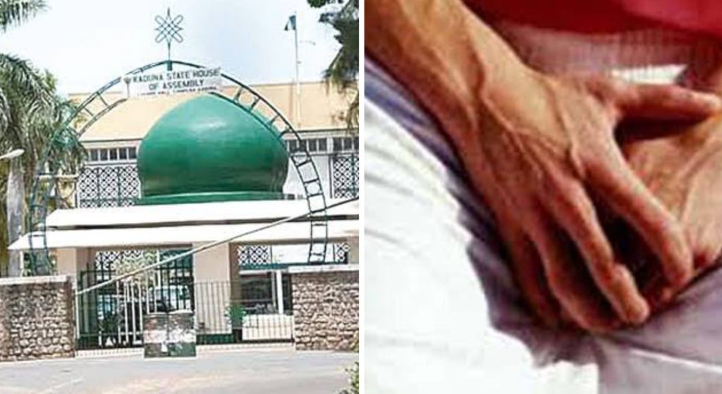 JUST IN: Kaduna Assembly approves castration as punishment for Rapists
