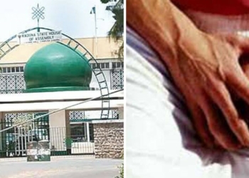 JUST IN: Kaduna Assembly approves castration as punishment for Rapists
