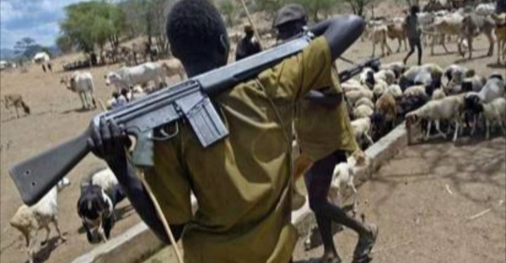 Fulani herdsmen attack Nasarawa community, kill two farmers