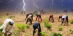 Thunderstorm kills 3 kinsmen, injures 2 others on their farm in Katsina