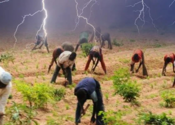 Thunderstorm kills 3 kinsmen, injures 2 others on their farm in Katsina
