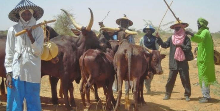 Why we’re in South East, Miyetti Allah opens up