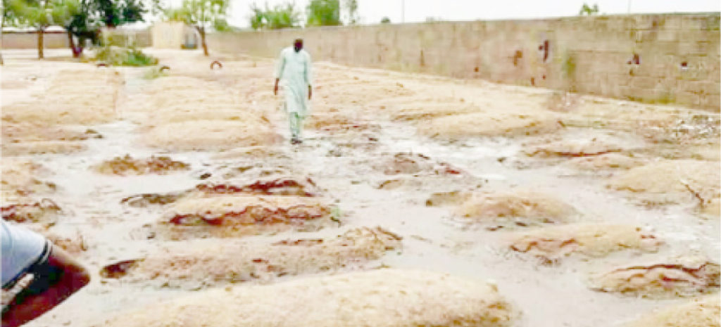 Flood submerges hundreds of graveyards in Damaturu