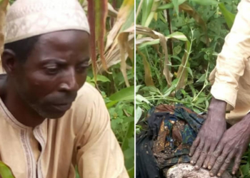Man arrested in Bauchi for burying his newborn grandchild alive
