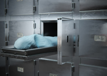 Niger discovers 333 ‘dead civil servants’ on payroll