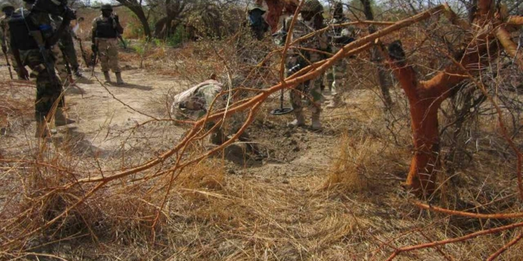 Several bandits killed as troops raid Kaduna forest
