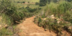 Girl murdered on her way to church in Delta, Vital organs removed