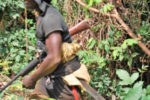 Hunter’s Corpse Discovered In Forest Raises Questions For Abia Community