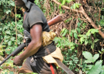 Hunter’s Corpse Discovered In Forest Raises Questions For Abia Community