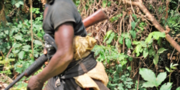 Hunter’s Corpse Discovered In Forest Raises Questions For Abia Community