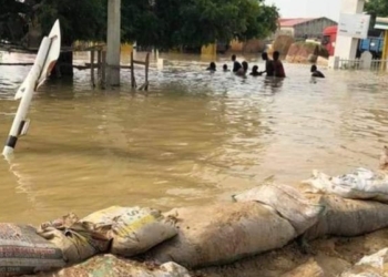 Mob attacks Governor's aide and others in Jigawa