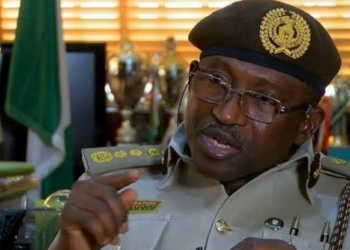 Nigerian Immigration Service promotes 8,999 personnel