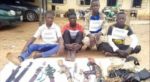 PHOTOS: Police arrest seven-man gang of dare-devil robbers for terrorising Adamawa communities