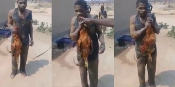 Chicken thief forced to eat raw chicken as punishment by angry mob (video)