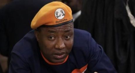 Defence Intelligence Agency has put a bounty on my head that I must be murdered – Omoyele Sowore alleges