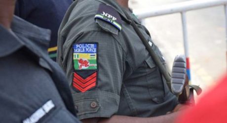 Police arrest 83 cultists in Benue state