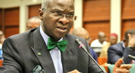 APC revalidation exercise will end appointment of dead people, says Works and Housing Minister, Fashola